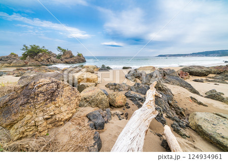 「青森県」大須賀海岸・種差海岸　八戸市 124934961