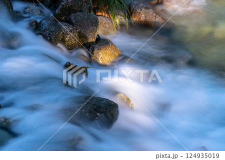 秋の光　宮之浦川渓谷　洋上アルプス屋久島 124935019