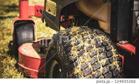 Lawn mower tractor detail 124935268
