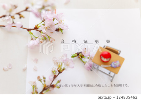 入試の合格証書と生花の桜、学校机とダルマのミニチュア 受験のイメージ 入試の合格証書と生花の桜、学校机とダルマのミニチュア 受験のイメージ 124935462