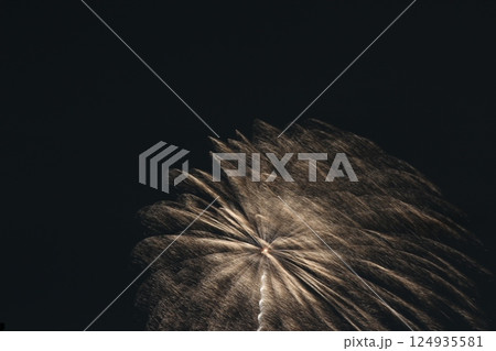 花火大会　いたみ花火　関西　兵庫県 124935581