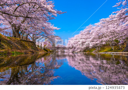 京都 七谷川の桜並木 京都 七谷川の桜並木 124935873