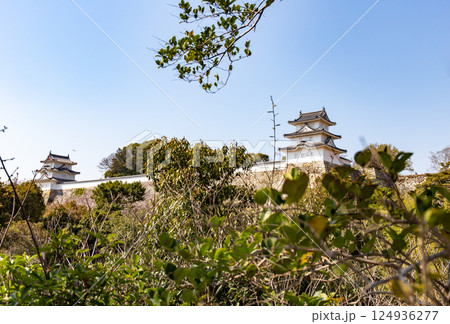 兵庫県明石市・桜が満開の明石城の櫓 124936277