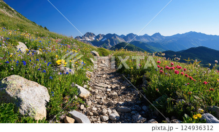 scenic mountain trail surrounded by vibrant wildflowers and rocky paths 124936312