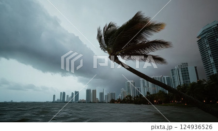massive hurricane over coastal city with strong winds and dark clouds massive hurricane over coastal city with strong winds and dark clouds 124936526