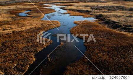 Aerial view of winding river through golden grasslands and wetlands Aerial view of winding river through golden grasslands and wetlands 124937004