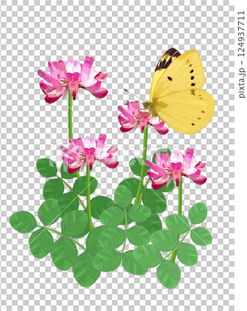 れんげ草とモンキチョウ 124937711