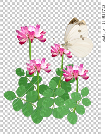 れんげ草とモンシロチョウ 124937712