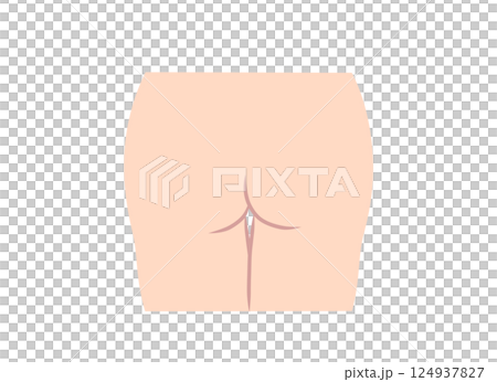 Female buttocks parts illustration Female buttocks parts illustration 124937827