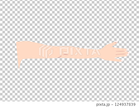 伸出的手臂（手背）的部位圖 124937839