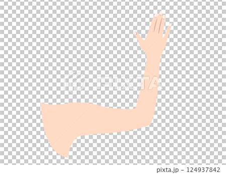 Illustration of a woman's arm (back of the hand) Illustration of a woman's arm (back of the hand) 124937842