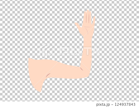 女性手臂(手掌)部位圖解 女性手臂(手掌)部位圖解 124937843