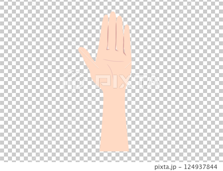 Illustration of female palm parts 124937844