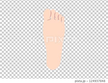 Illustration of sole parts of the foot Illustration of sole parts of the foot 124937848
