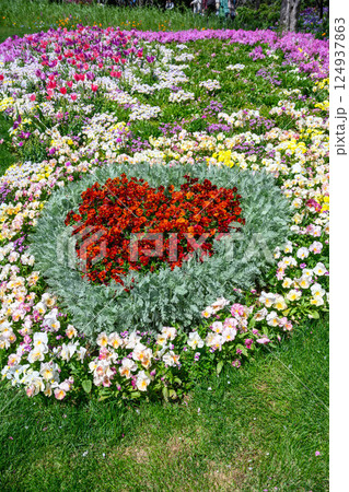 横浜 里山ガーデンの花々_2025年4月 横浜 里山ガーデンの花々_2025年4月 124937863