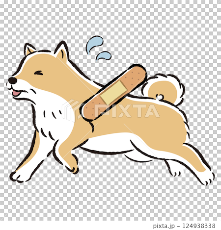 Illustration of an injured senior dog with a troubled expression 124938338