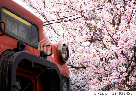 桜咲く春のローカル駅に停車しているローカル車両 124938456