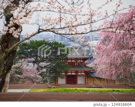 多賀城外郭南門 124938604