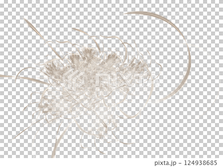 花3-flowers- 花3-flowers- 124938685