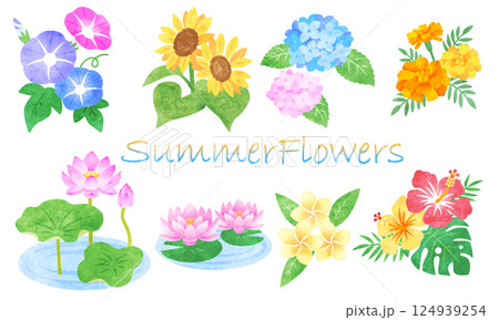 手描き水彩風 夏の花イラストセット 手描き水彩風 夏の花イラストセット 124939254