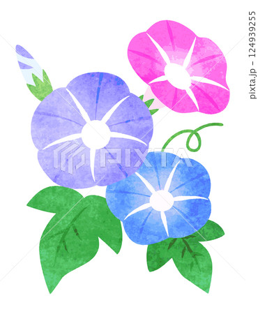 手描き水彩風　 朝顔の花　イラスト 124939255