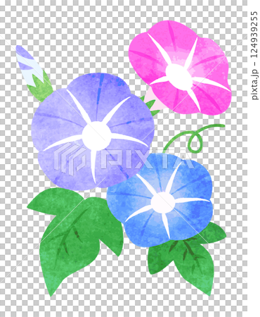 手繪水彩風格牽牛花花卉插圖 124939255