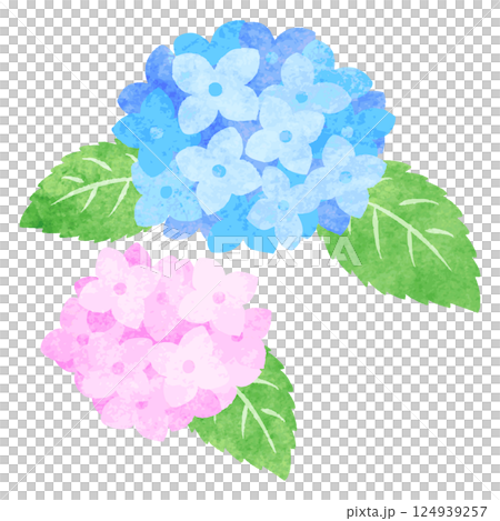 Hand-drawn watercolor hydrangea flower illustration 124939257