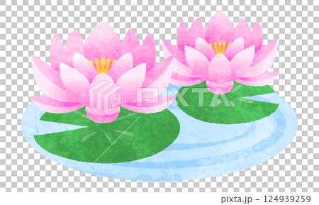 手描き水彩風　睡蓮の花　イラスト 124939259