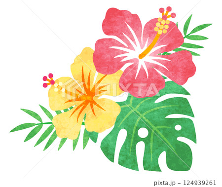 手描き水彩風 ハイビスカスの花 イラスト 手描き水彩風 ハイビスカスの花 イラスト 124939261