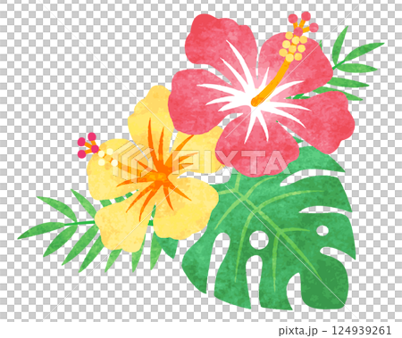 手描き水彩風 ハイビスカスの花 イラスト 手描き水彩風 ハイビスカスの花 イラスト 124939261
