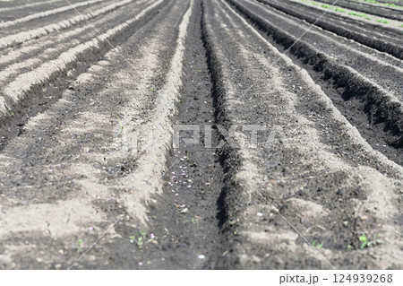 耕された畑 耕された畑 124939268