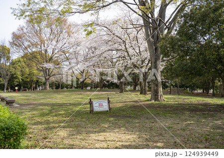 三橋総合公園 124939449