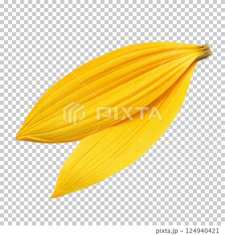 Two Sunflower Petals on Black 124940421