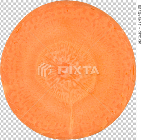 carrot. carrot. 124940588
