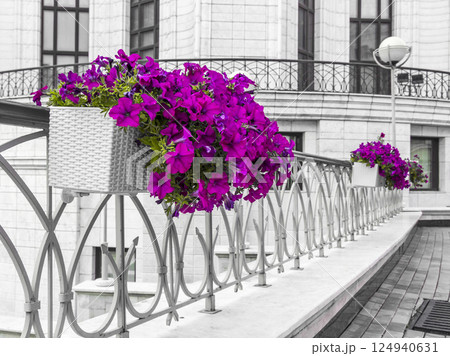 Street flowers Street flowers 124940631