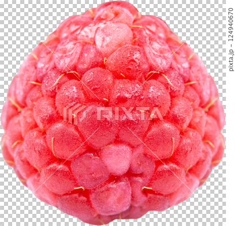 Raspberry Raspberry 124940670