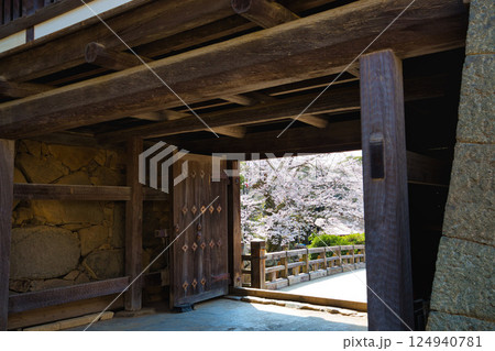 さくらの彦根城 124940781