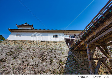 さくらの彦根城 124940790