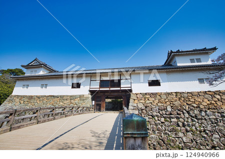 さくらの彦根城 124940966