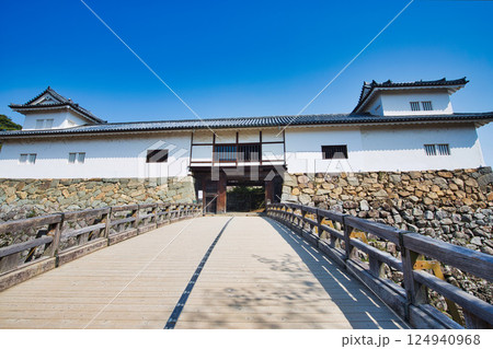 さくらの彦根城 さくらの彦根城 124940968