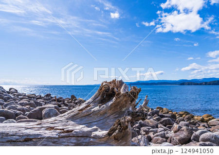 【徳島】出羽島の海岸と青い海 124941050