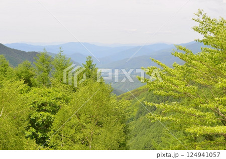 長野 分杭峠 長野 分杭峠 124941057