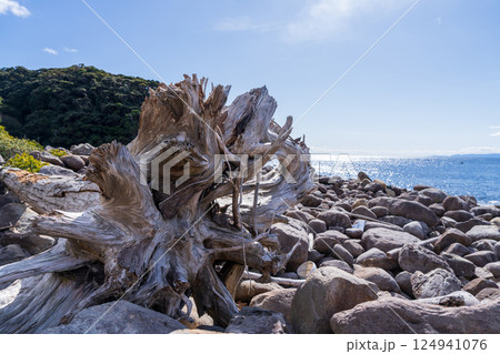【徳島】出羽島の海岸 【徳島】出羽島の海岸 124941076