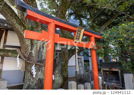 うつぼ楠永神社の鳥居(2024年12月撮影) うつぼ楠永神社の鳥居(2024年12月撮影) 124941112