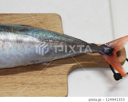 アカアジのしっぽ アカアジのしっぽ 124941353