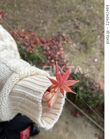 秋の紅葉　デート 124941464
