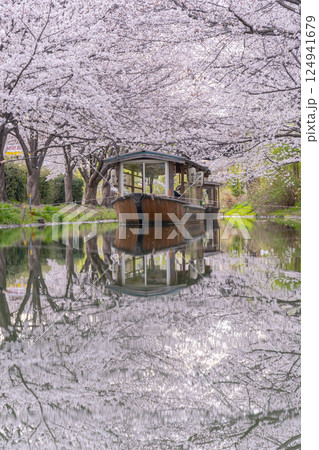 京都　伏見十石舟と満開の桜 124941679