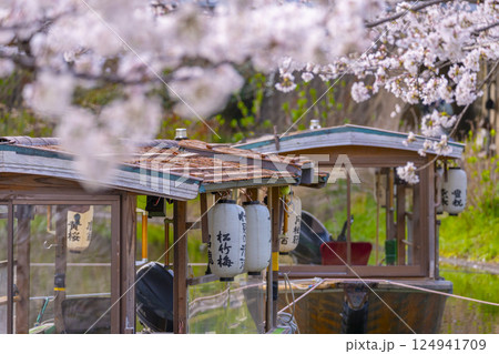 京都　伏見十石舟と満開の桜 124941709