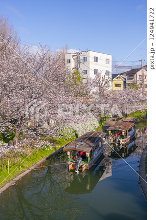 京都　伏見十石舟と満開の桜 124941722