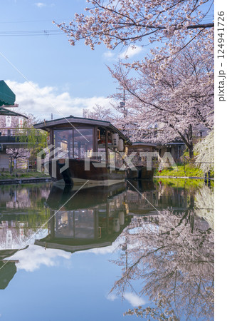 京都 伏見十石舟と満開の桜 京都 伏見十石舟と満開の桜 124941726